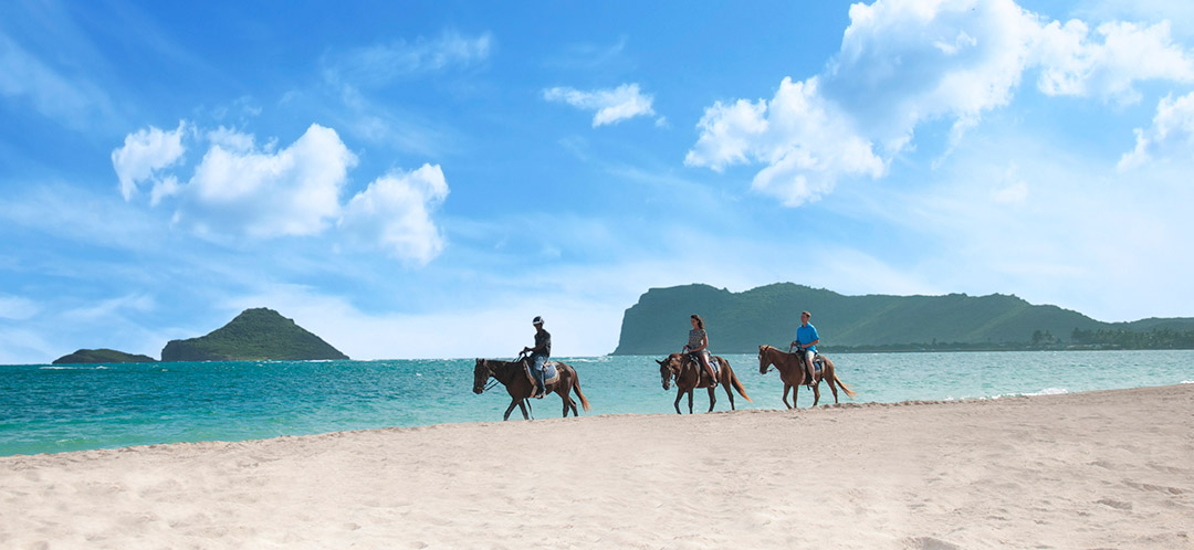 Coconut Bay Beach Resort & Spa off-peak season travel