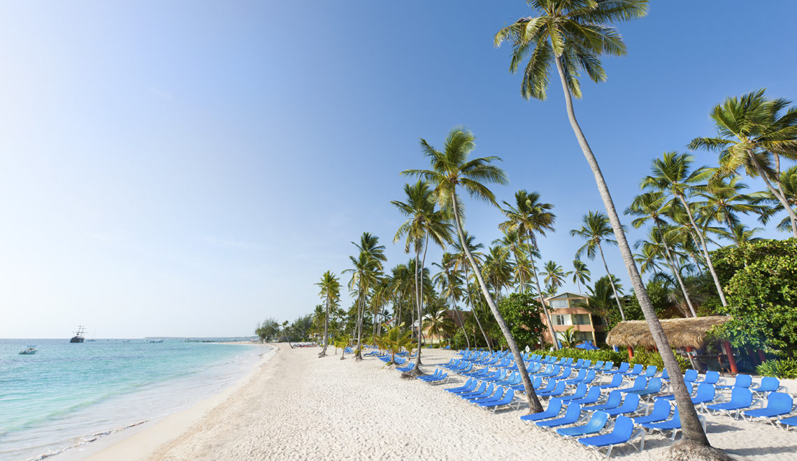 Beach chairs lining a beach filled with palm trees