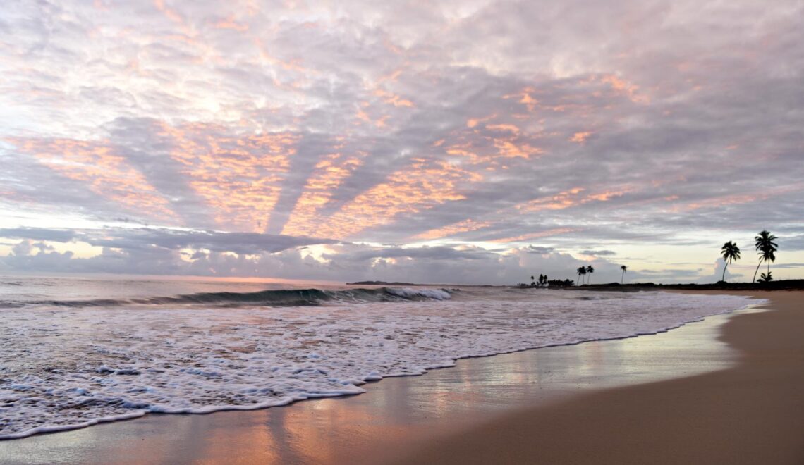 Royalton Chic Punta Cana