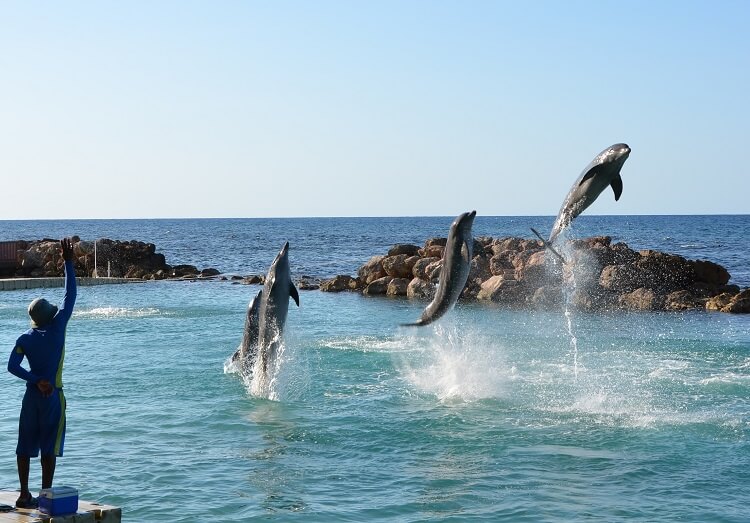 Things to do in Jamaica