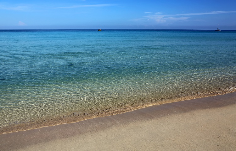 Things to do in Jamaica