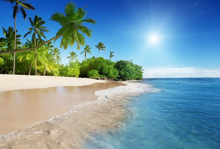 Sunny beach in the Caribbean