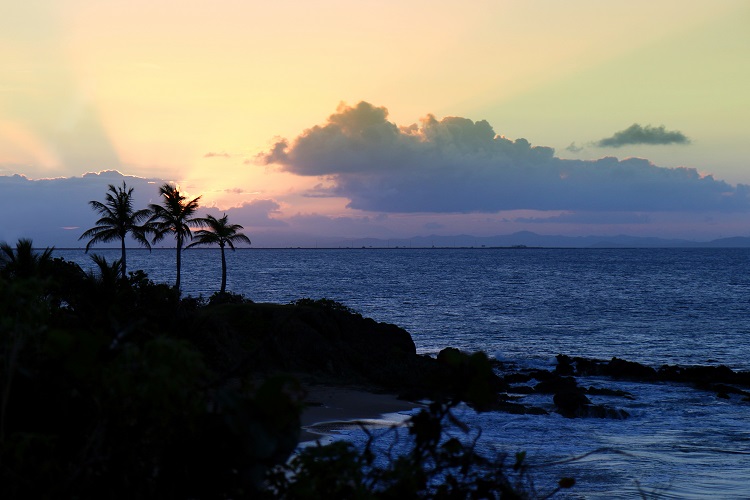 Vieques Island in Puerto Rico