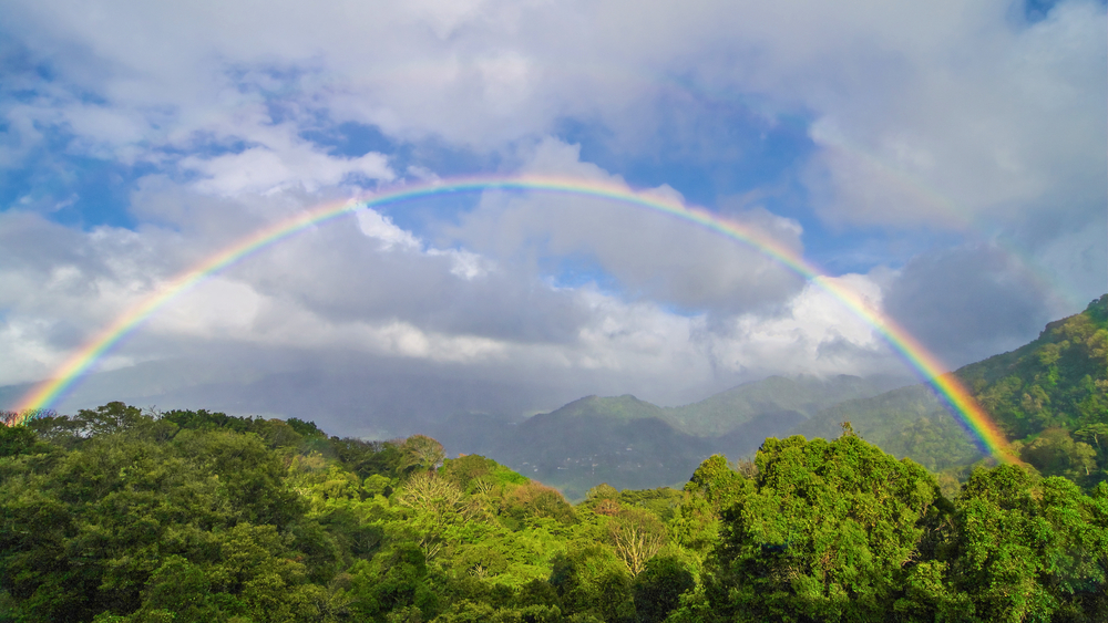Rainbow over the jungles of Panama