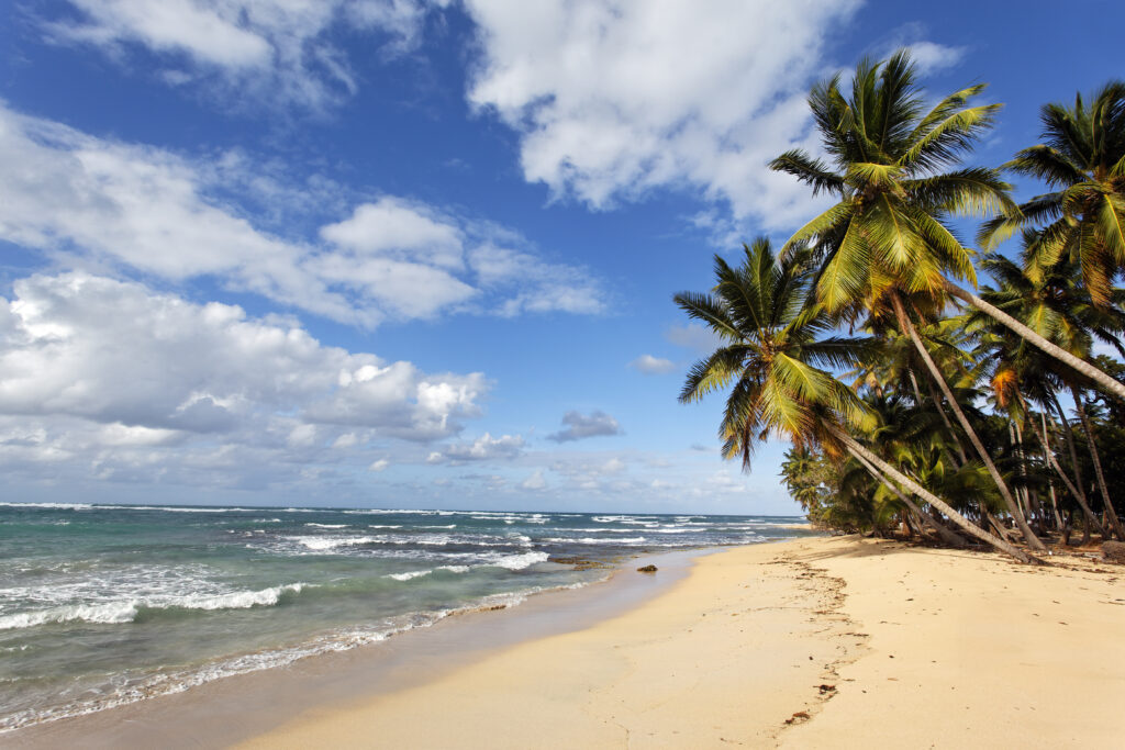 Caribbean beach