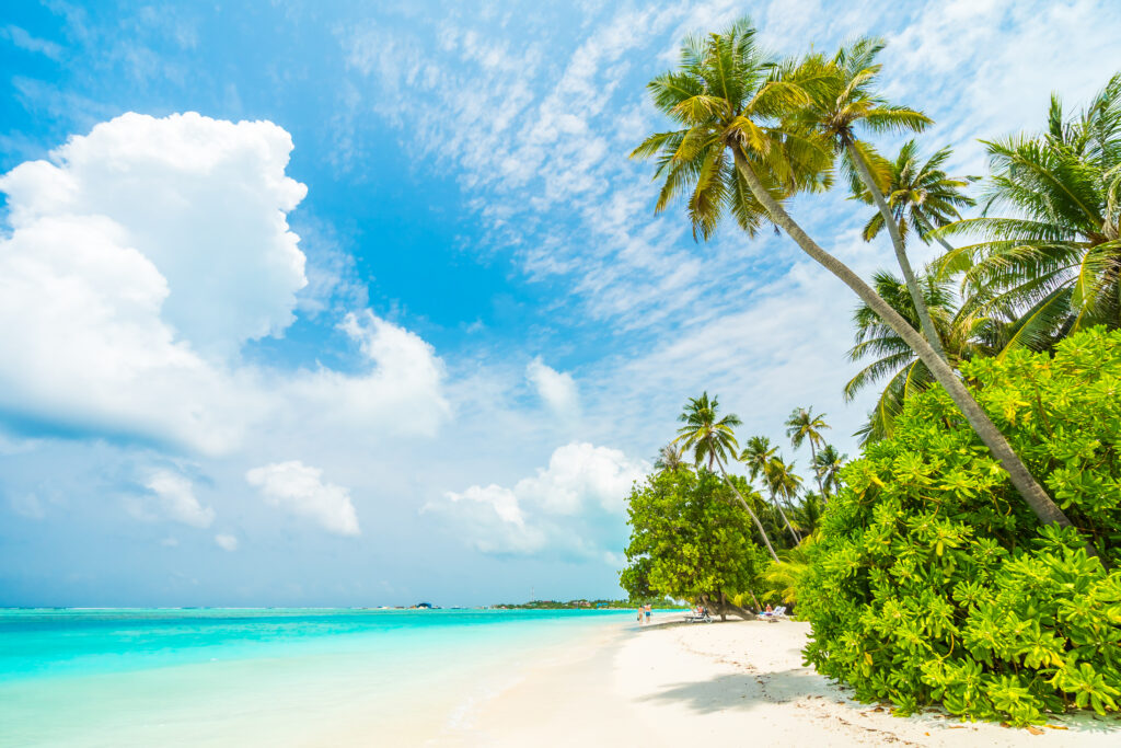 all inclusive vacations