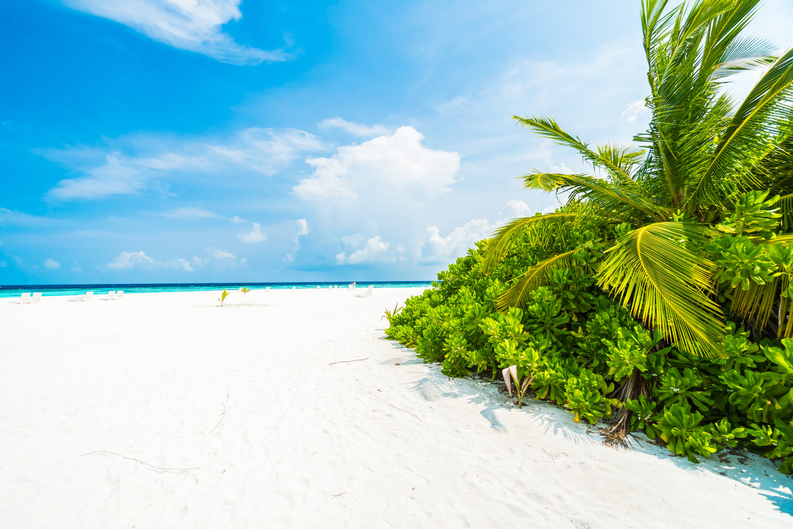 all inclusive vacation