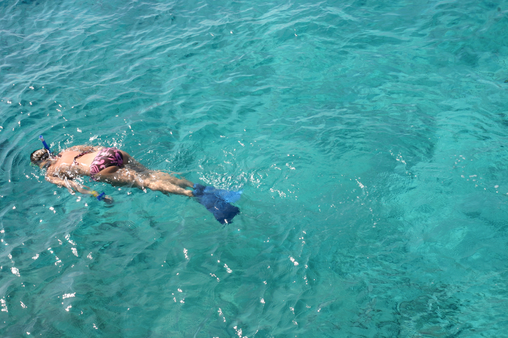 Snorkeling in cozumel